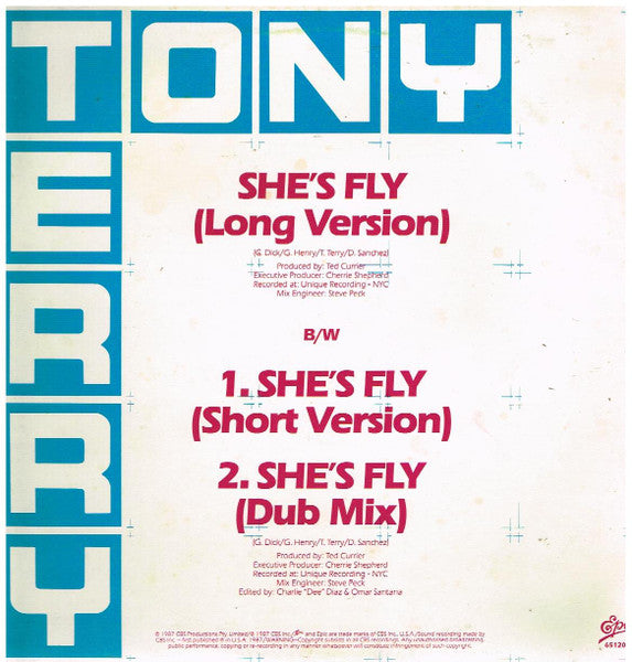 Tony Terry : She's Fly (12")
