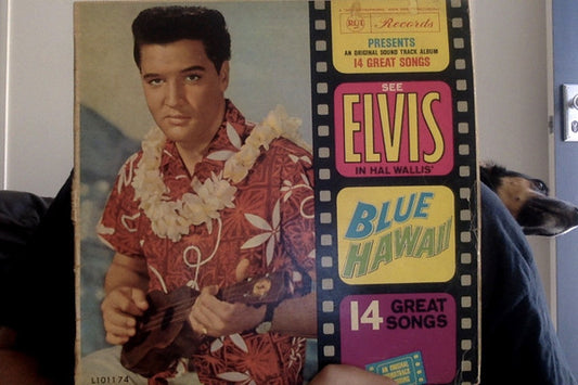 Elvis Presley : Blue Hawaii (LP, Album, Mono)