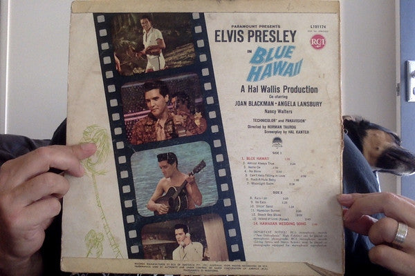 Elvis Presley : Blue Hawaii (LP, Album, Mono)
