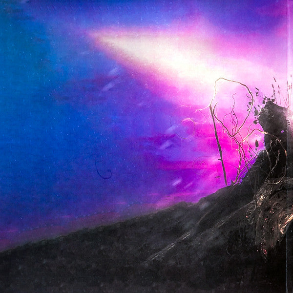 Raveena (2) : Asha’s Awakening (2xLP, Album, Ltd, Vio)