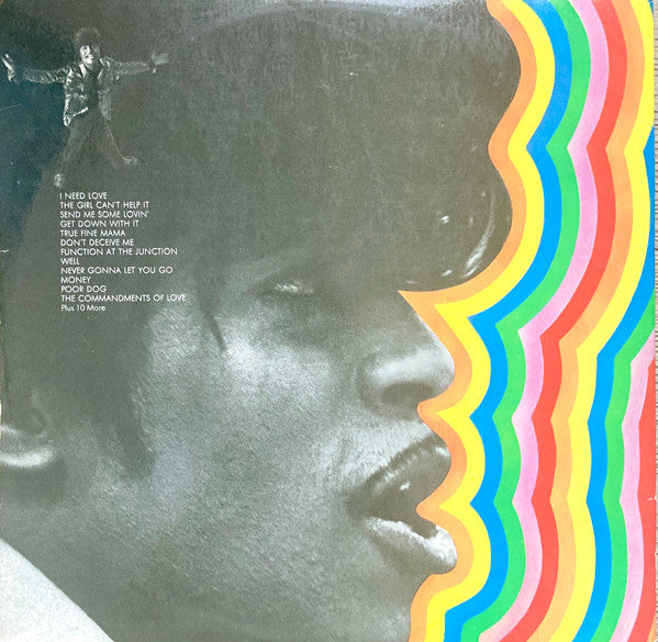 Little Richard : Cast A Long Shadow (2xLP, Comp, Gat)