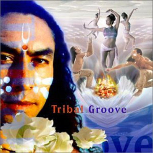 Various : Tribal Groove (CD, Comp)