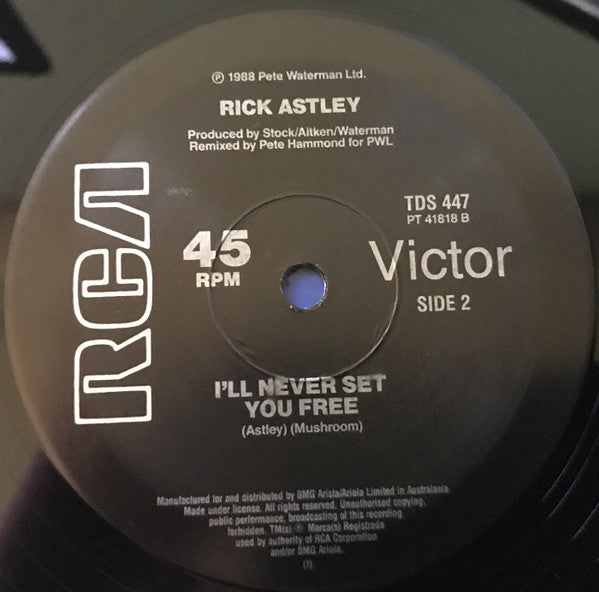 Rick Astley : Together Forever (12")