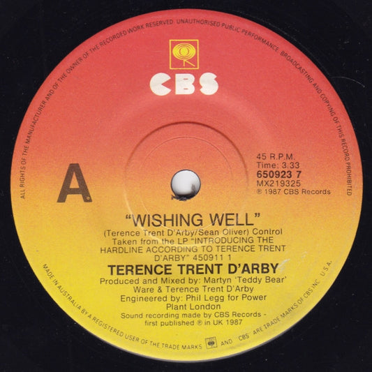 Terence Trent D'Arby : Wishing Well (7", Single)