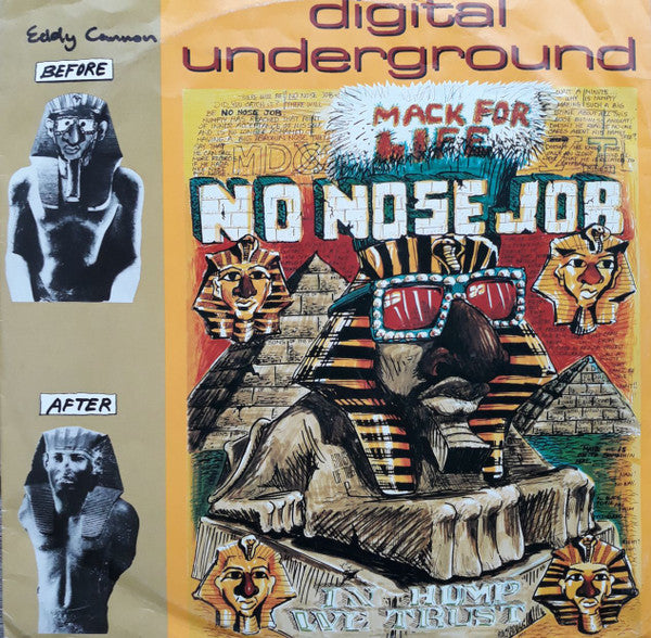 Digital Underground : No Nose Job (12")