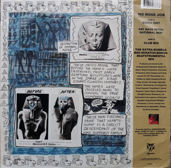 Digital Underground : No Nose Job (12")